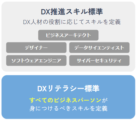 デジタルスキル標準　DXリテラシー標準