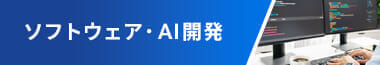 ソフトウェア開発