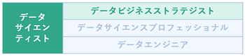 データビジネスストラテジスト