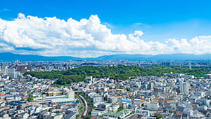 旅行・観光・交通業界で人気のDX・IT研修